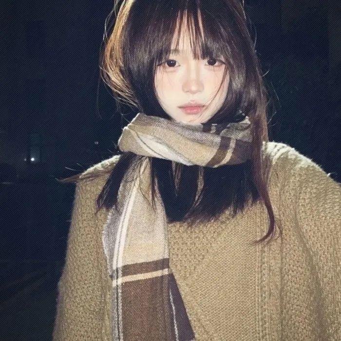与鲨鱼游弋